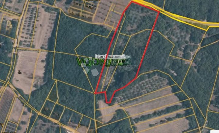 Land for sale 10095 m² – Vodnjan