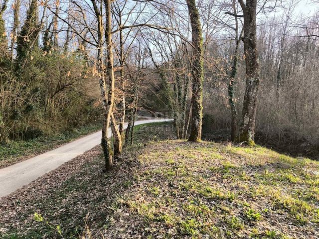 Grundstück Zu verkaufen - Istarska Pazin - foto 4/7