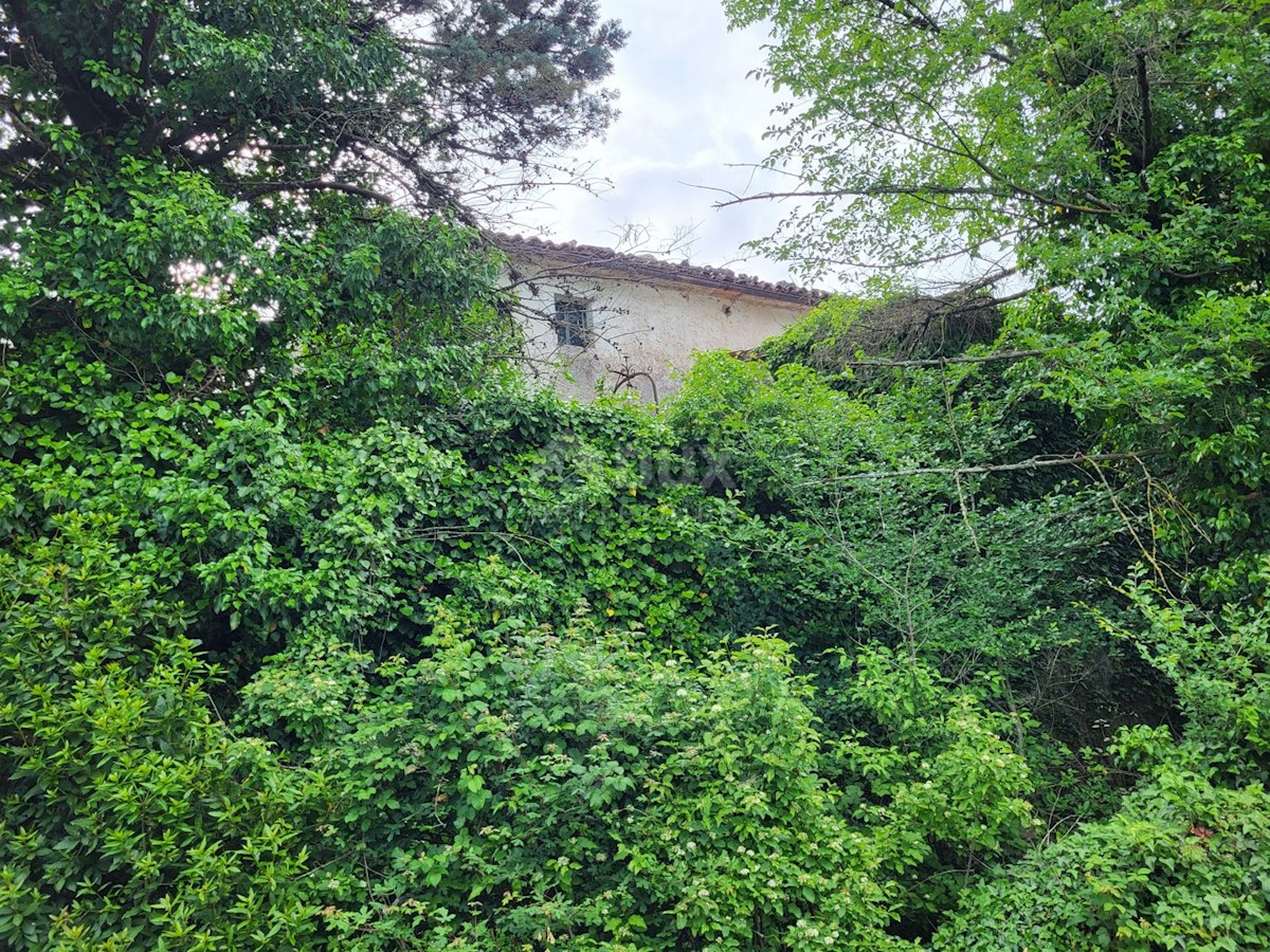 Haus Zu verkaufen - ISTARSKA PIĆAN