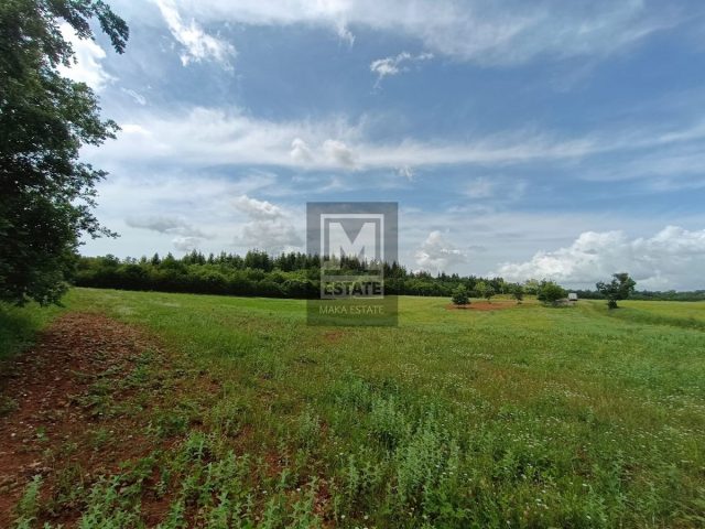 Terreno in vendita 10858 m² – Vižinada