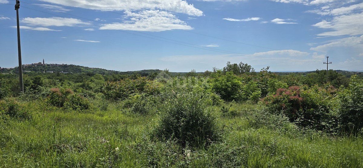 Zemljište Na prodaju - ISTARSKA BUJE