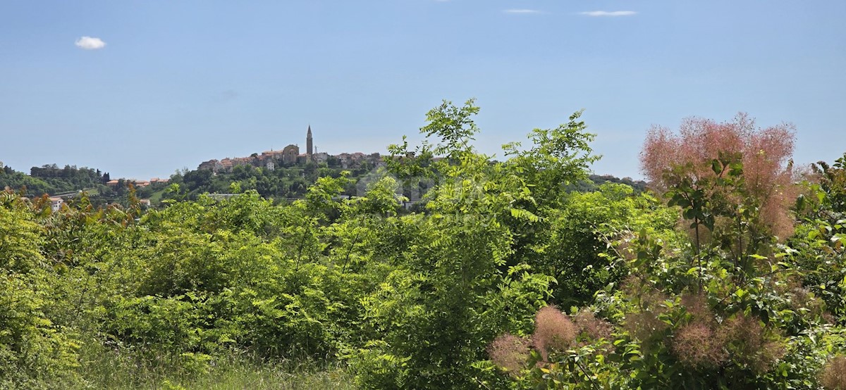 Zemljište Na prodaju - ISTARSKA BUJE