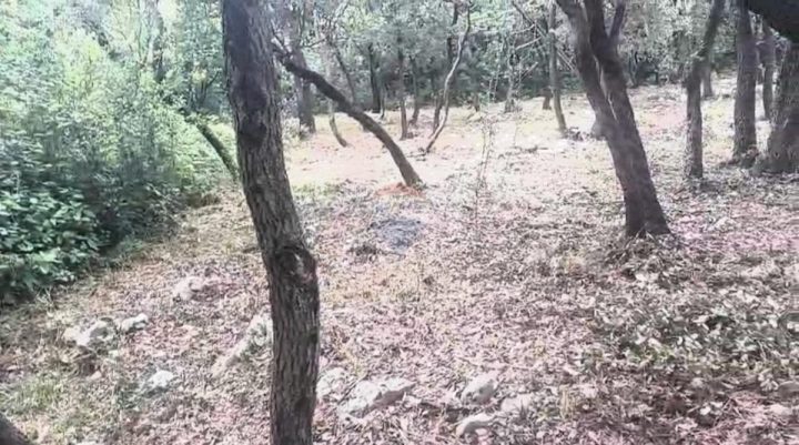 Parcela Na predaj - Istarska Marčana - foto 2/2