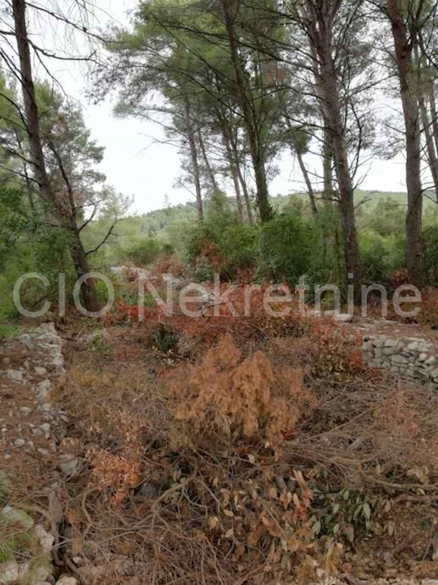 Land For sale - DUBROVAČKO-NERETVANSKA Korčula