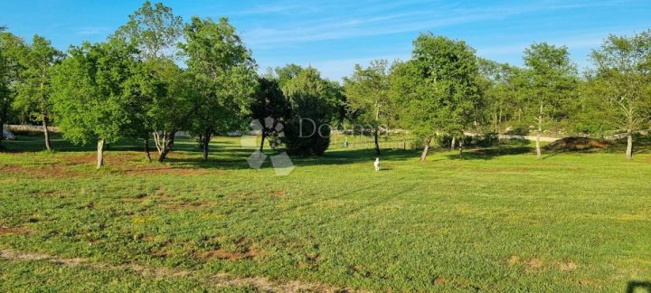 Pozemok na predaj 13000 m² – Bale