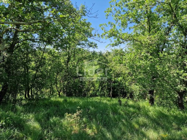 Pozemok na predaj 13686 m² – Stranići Kod Lovreča
