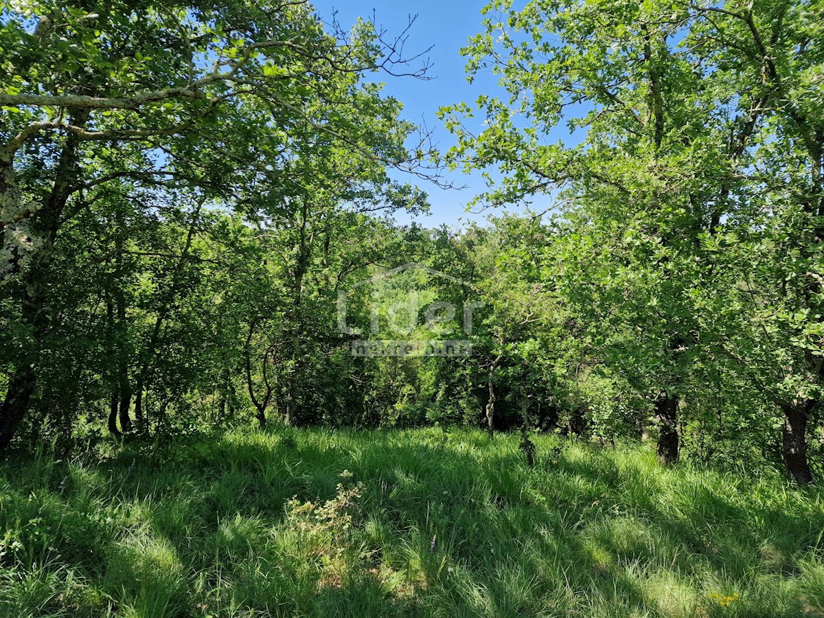 Zemljište Na prodaju - ISTARSKA SVETI LOVREČ