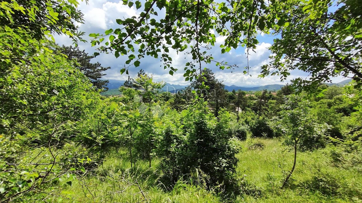 Land For sale - PRIMORSKO-GORANSKA JELENJE