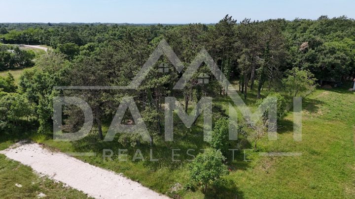 Land for sale 1700 m² – Žminj