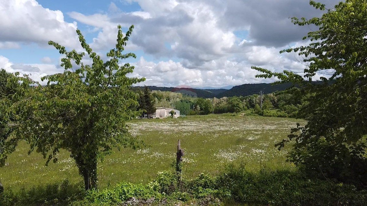Działka Na sprzedaż - Istarska Tinjan - foto 2/6