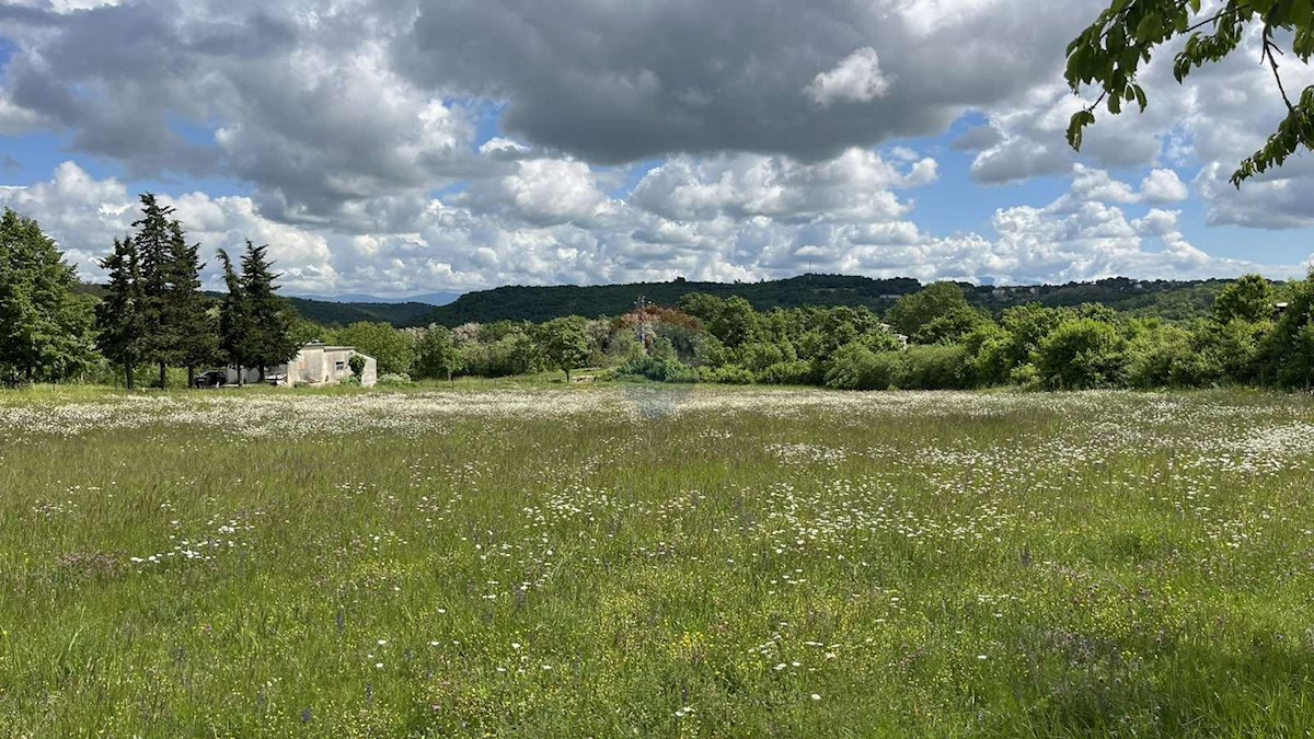 Działka Na sprzedaż - Istarska Tinjan - foto 5/6