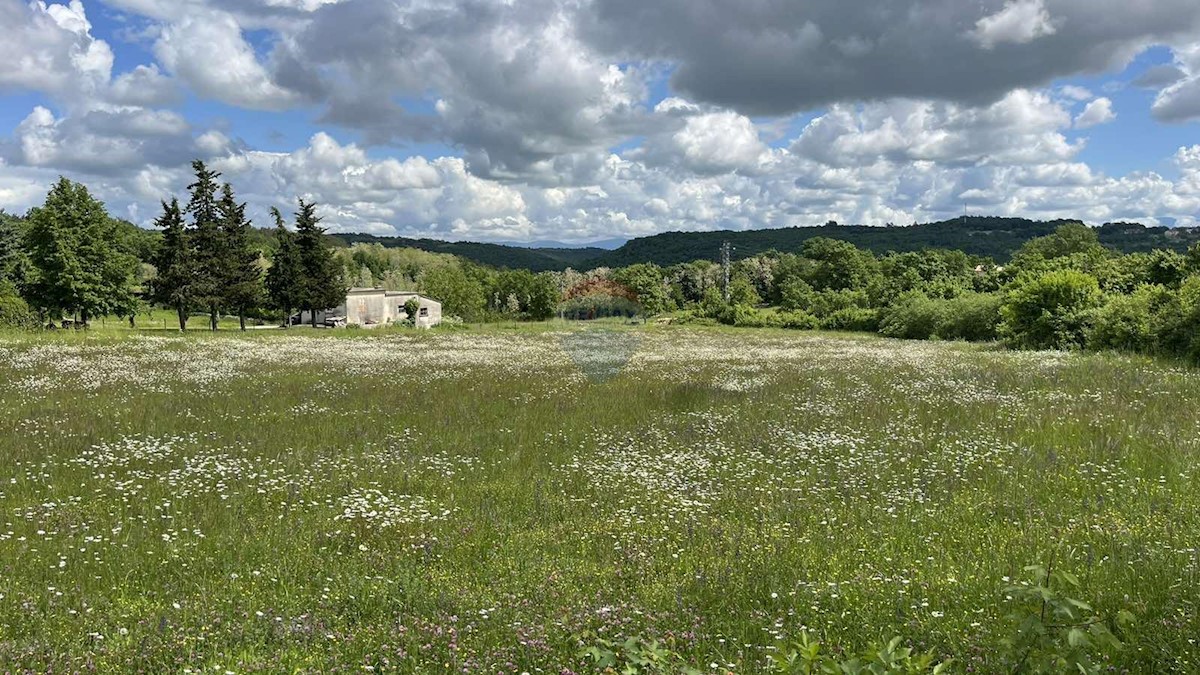 Działka Na sprzedaż - ISTARSKA Tinjan