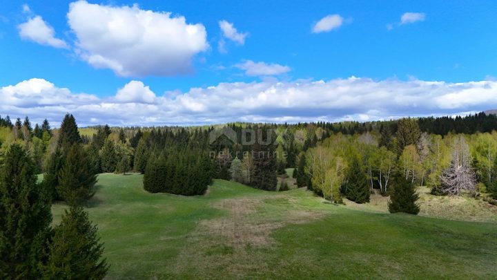 Terrain à vendre 4193 m² – Ravna Gora