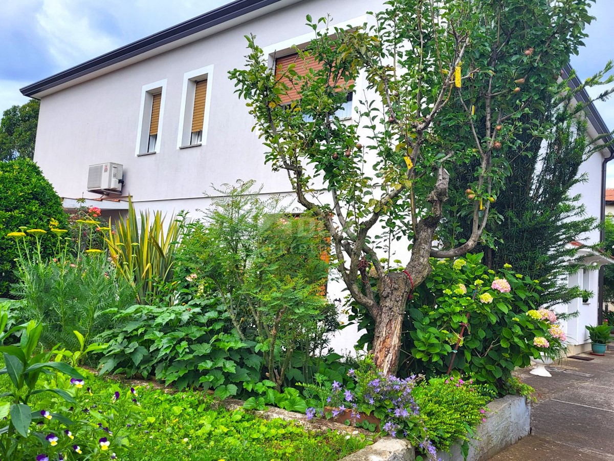 Maison À vendre - Istarska Umag - foto 5/26