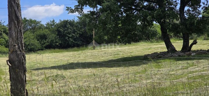 Land for sale 1000 m² – Žminj
