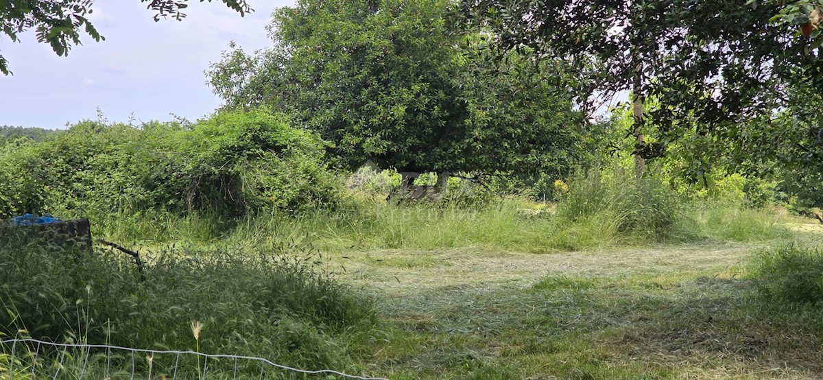 Parcela Na predaj - ISTARSKA ŽMINJ