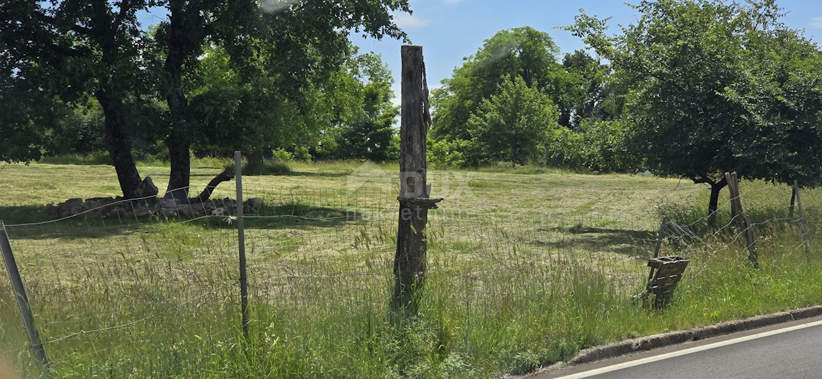 Parcela Na predaj - ISTARSKA ŽMINJ