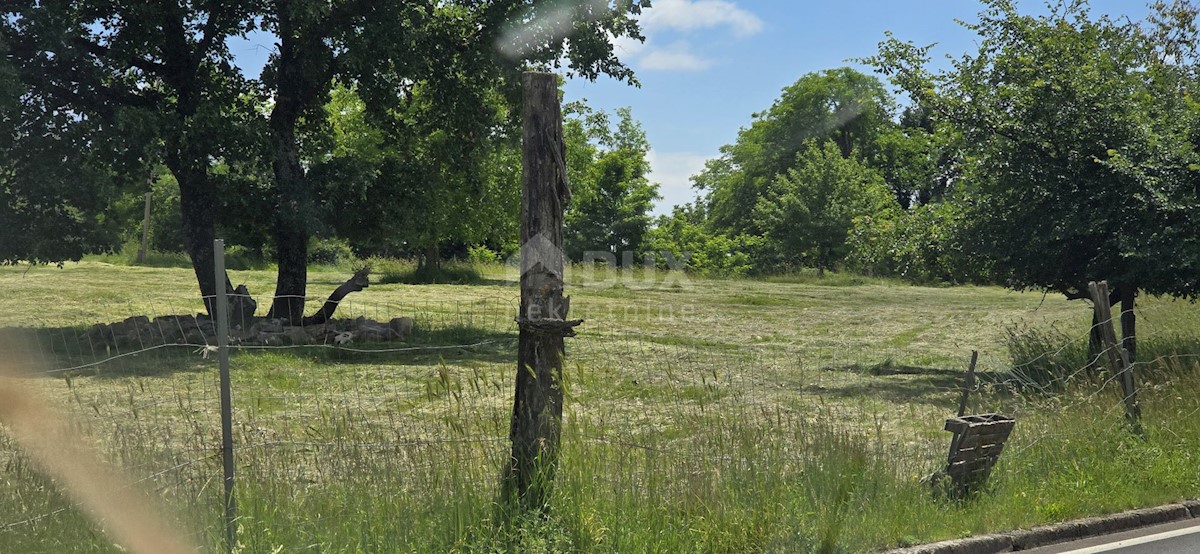 Parcela Na predaj - ISTARSKA ŽMINJ
