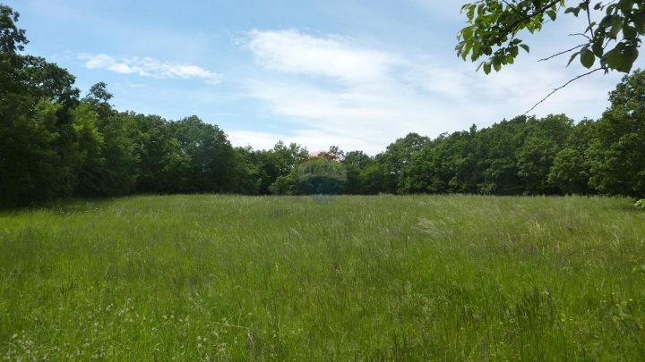 Parcela Na predaj - Istarska Poreč - foto 2/2
