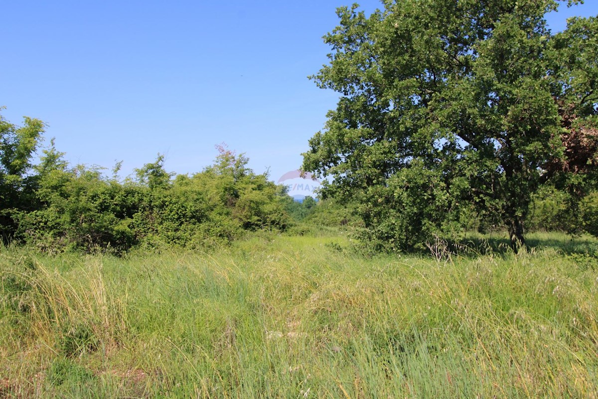 Terreno In vendita - Istarska Poreč