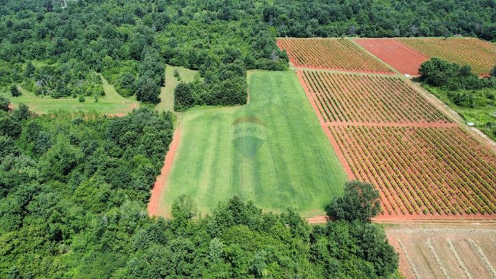 Zemljište na prodaju 6420 m² – Tar