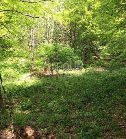 Terreno in vendita 12599 m² – Bribir