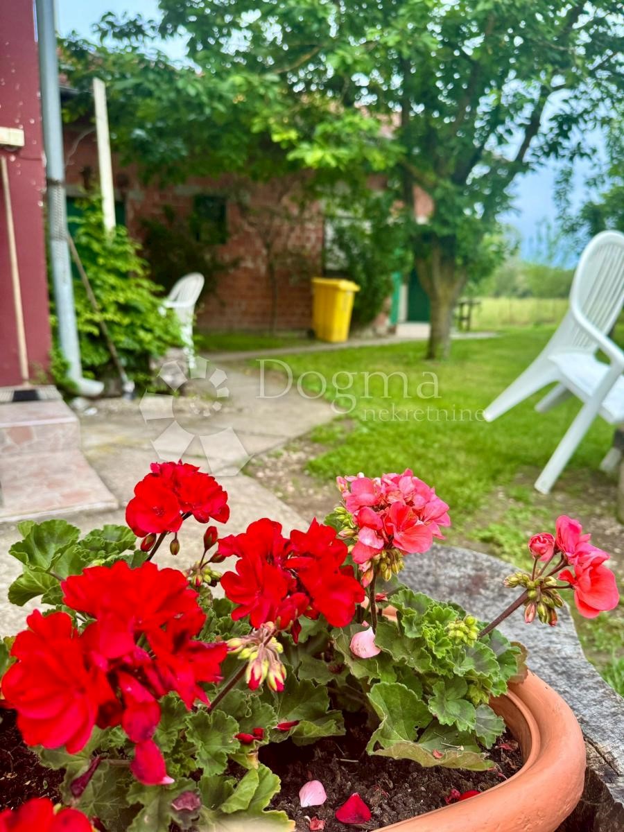 Maison À vendre - SISAČKO-MOSLAVAČKA MARTINSKA VES