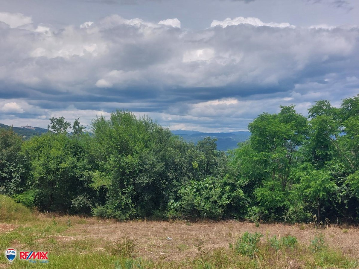 Terreno In vendita - ISTARSKA SVETA NEDELJA