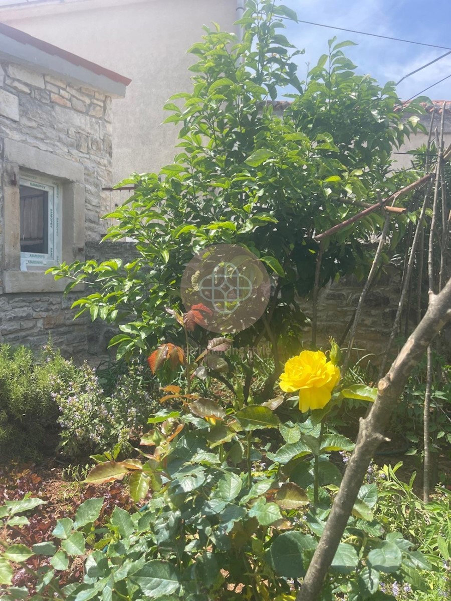 Dom Na sprzedaż - ISTARSKA MARČANA