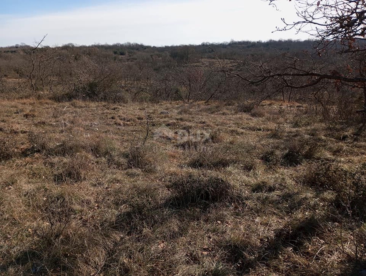 Działka Na sprzedaż - Istarska Marčana - foto 2/2