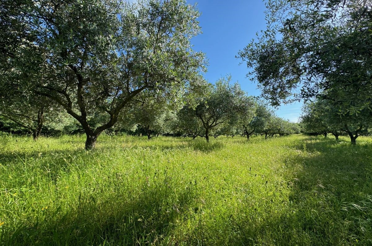 Zemljište Na prodaju - PRIMORSKO-GORANSKA KRK