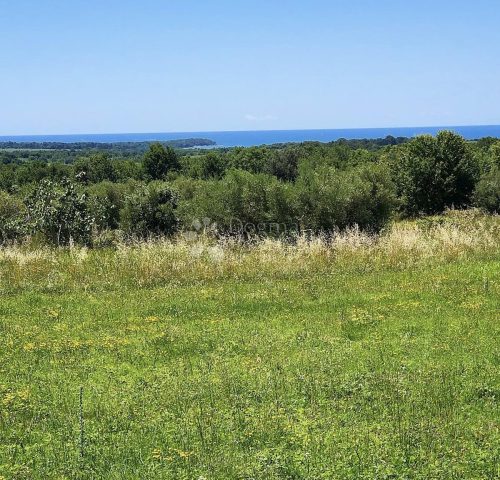 Zemljište na prodaju 5513 m² – Tar