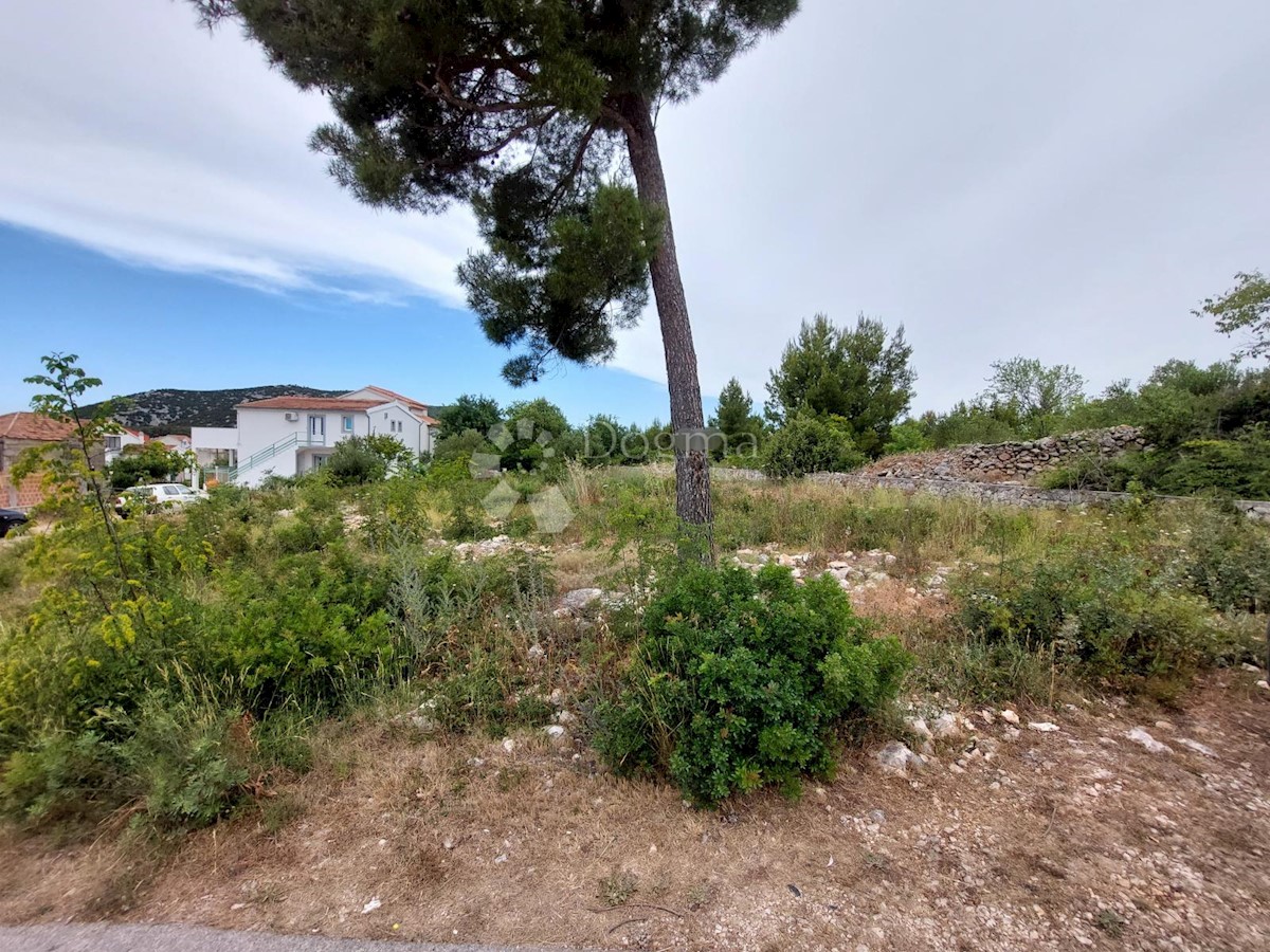 Land For sale TRIBUNJ