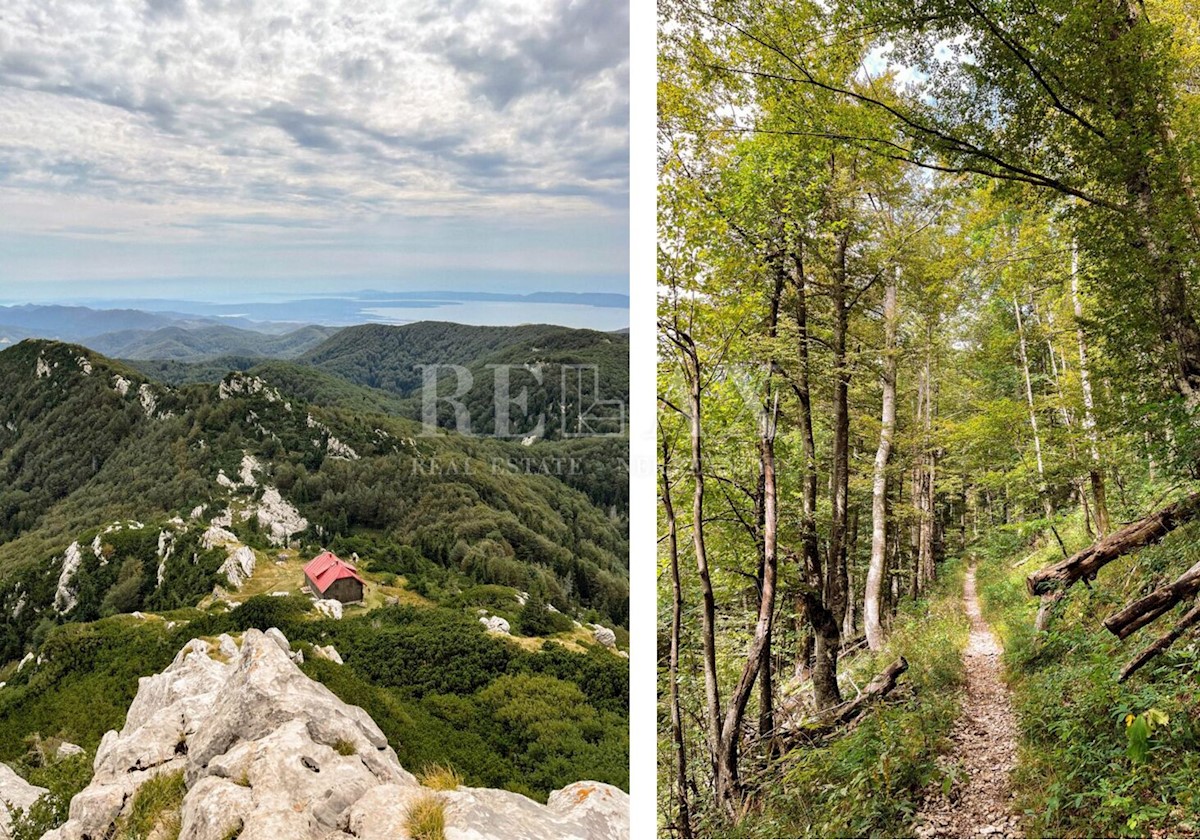 Pozemok Na predaj - PRIMORSKO-GORANSKA JELENJE