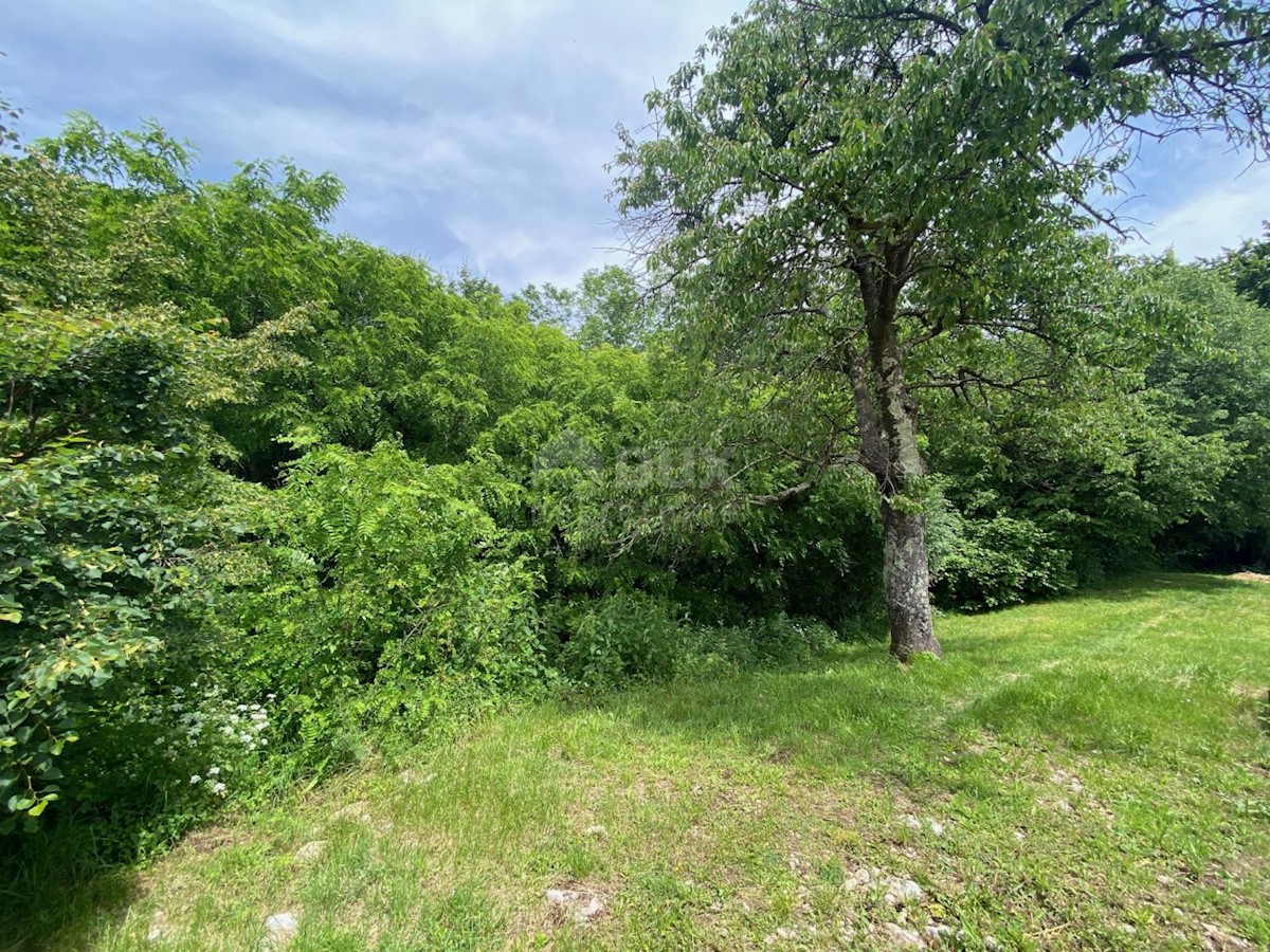 Land For sale - PRIMORSKO-GORANSKA VIŠKOVO