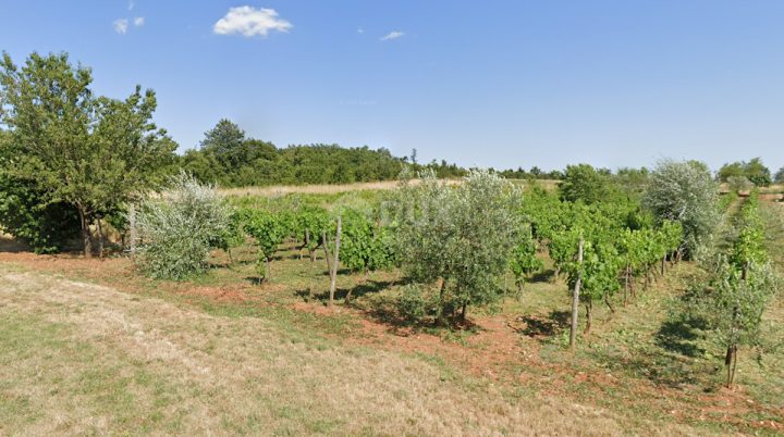 Pozemok na predaj 7595 m² – Bale
