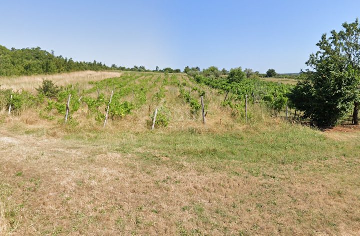 Grundstück Zu verkaufen - Istarska Bale - foto 2/2