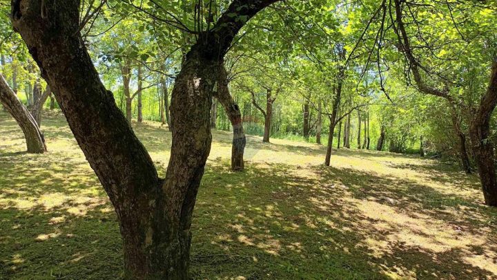 Pozemok Na predaj - Primorsko-goranska Fužine - foto 4/6