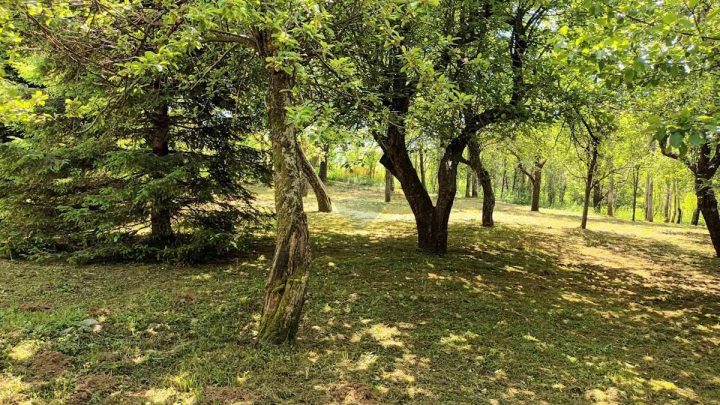 Pozemok Na predaj - Primorsko-goranska Fužine - foto 5/6