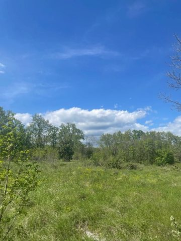 Terreno in vendita 1128 m² – Krnica