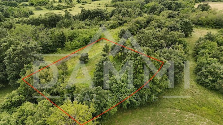 Pozemek na prodej 1293 m² – Pazin