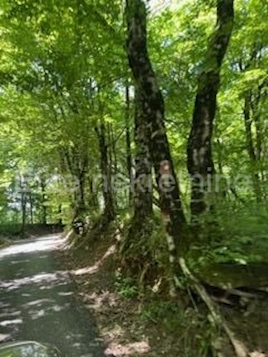 Terreno In vendita - PRIMORSKO-GORANSKA JELENJE