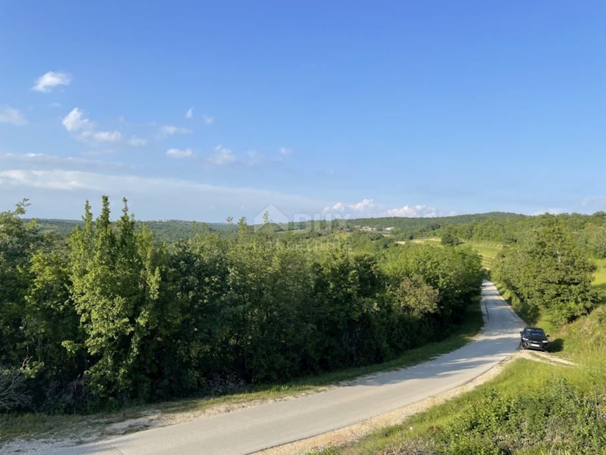 Zemljište Na prodaju - ISTARSKA BUJE