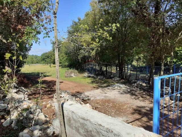 Pozemek na prodej 4888 m² – Šajini
