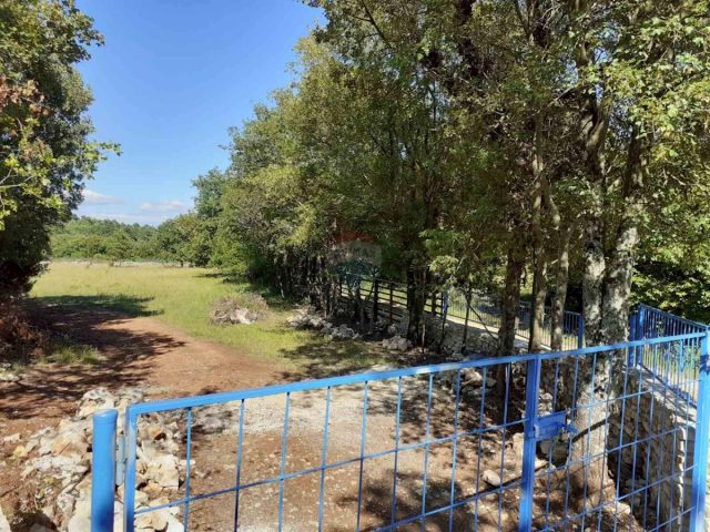 Parcela Na predaj - Istarska Barban - foto 3/4