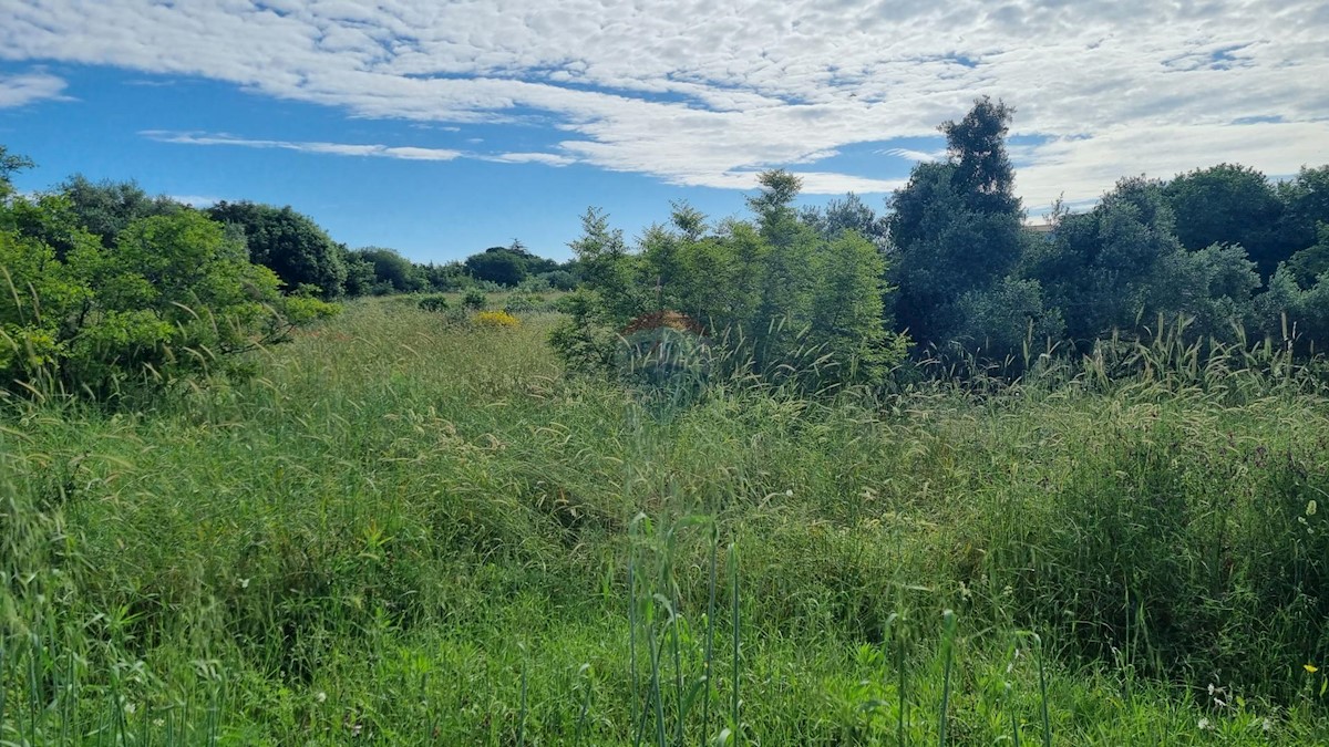 Pozemok Na predaj - ISTARSKA MEDULIN