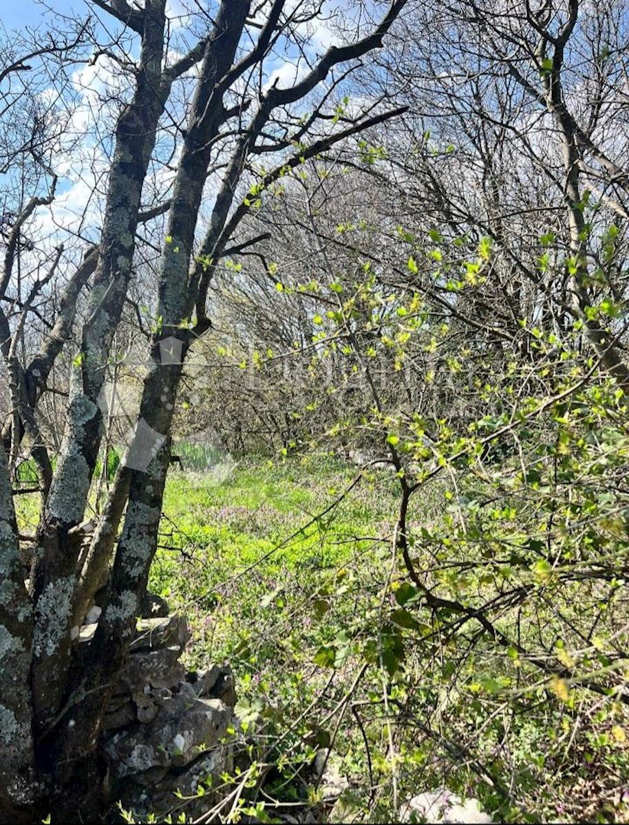 Terreno In vendita - ISTARSKA RAŠA