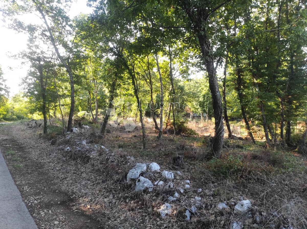 Zemljište Na prodaju - ISTARSKA MOTOVUN