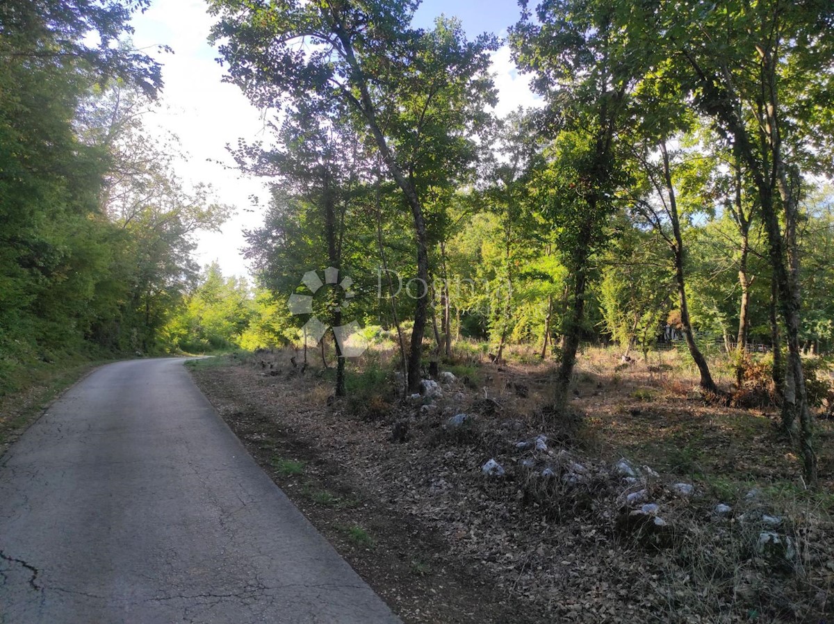 Zemljište Na prodaju - ISTARSKA MOTOVUN