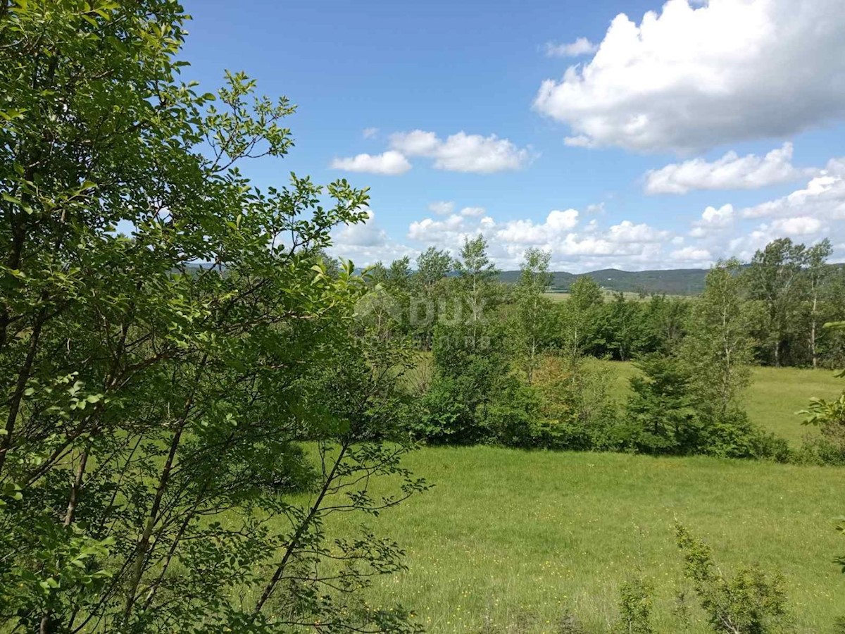 Land For sale - ISTARSKA LABIN